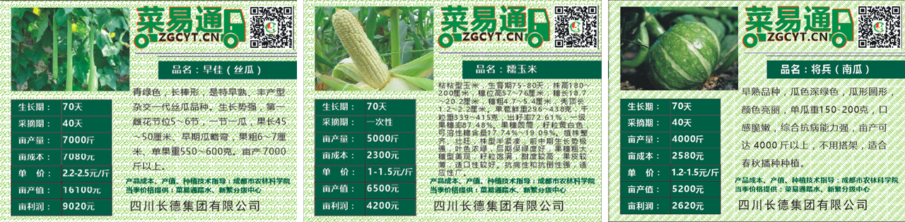 人生就是搏投资集团