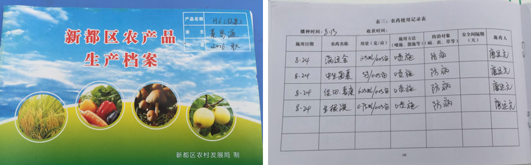 人生就是搏投资集团